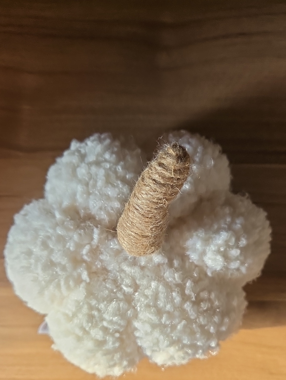 Small Cream Plush Pumpkin Accent with Twine Stem - Decorative Home Accent